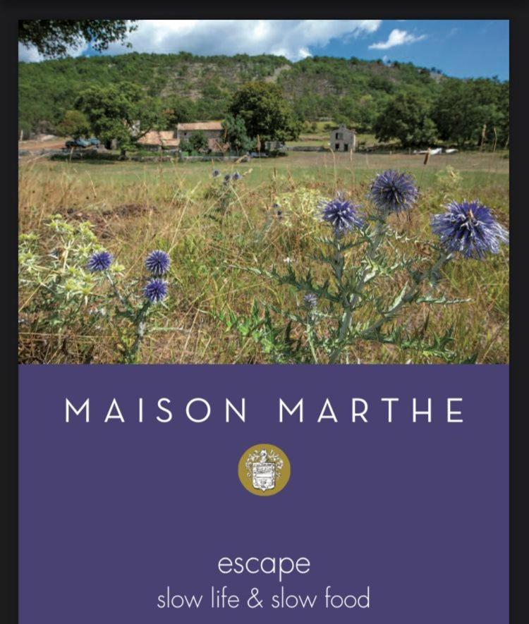 Maison Marthe - Maison Nomade Chic Coursegoules Kültér fotó